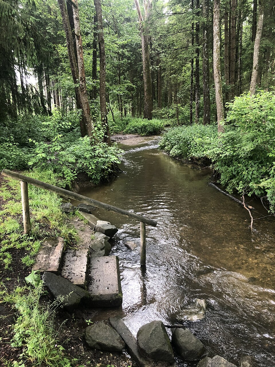 Kneipp-Waldweg Bad Wörishofen – Bad Wörishofen