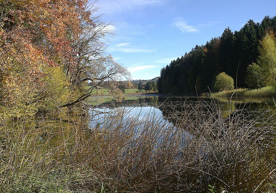 Rundwanderung von Martinszell zum Widdumer Weiher – Waltenhofen-Martinszell